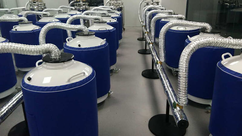 天馳幫助客戶搭建液氮罐實(shí)驗(yàn)室