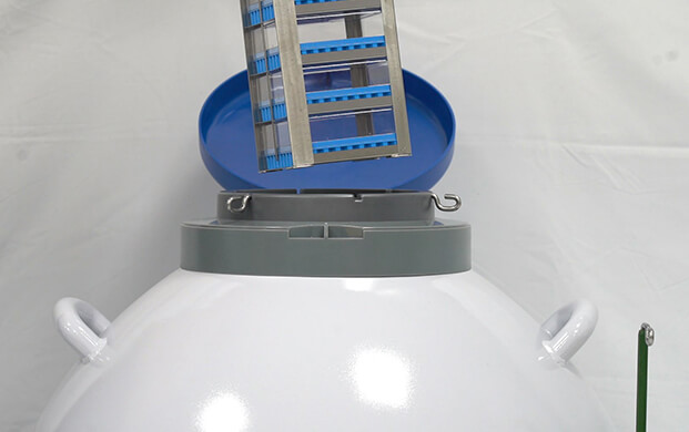 細菌可以凍在實驗室液氮罐里嗎?